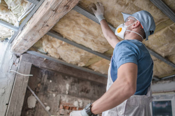 Best Insulation Removal  in Bayville, NY